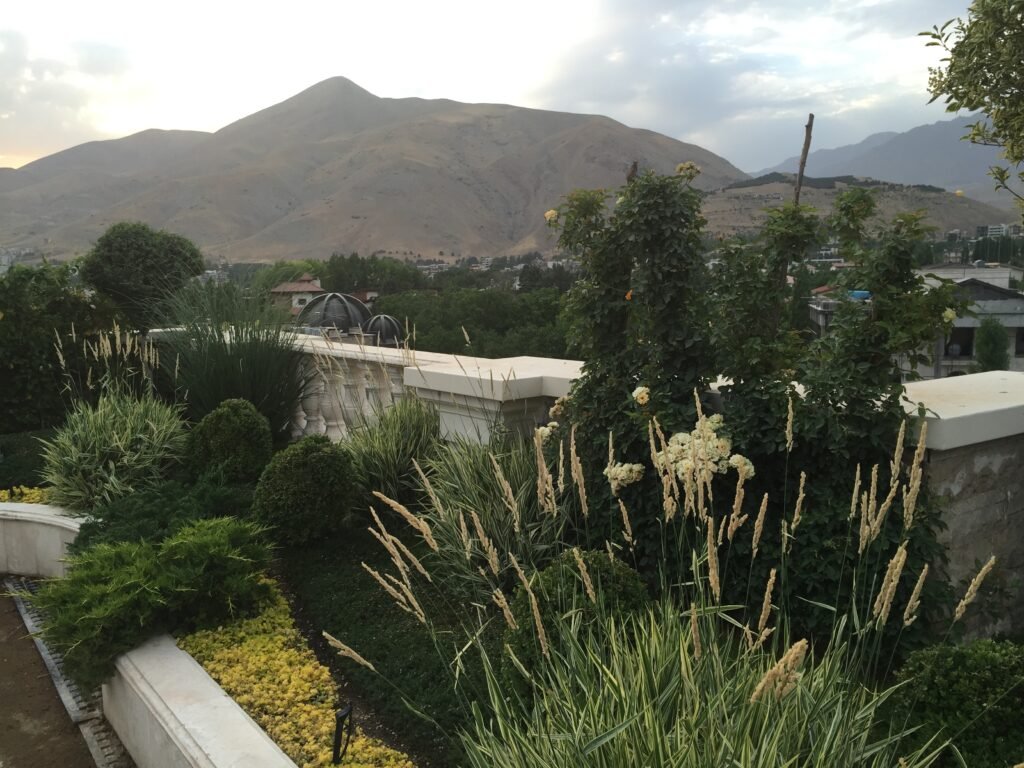 IMG 2884 20150625195008 1024x768